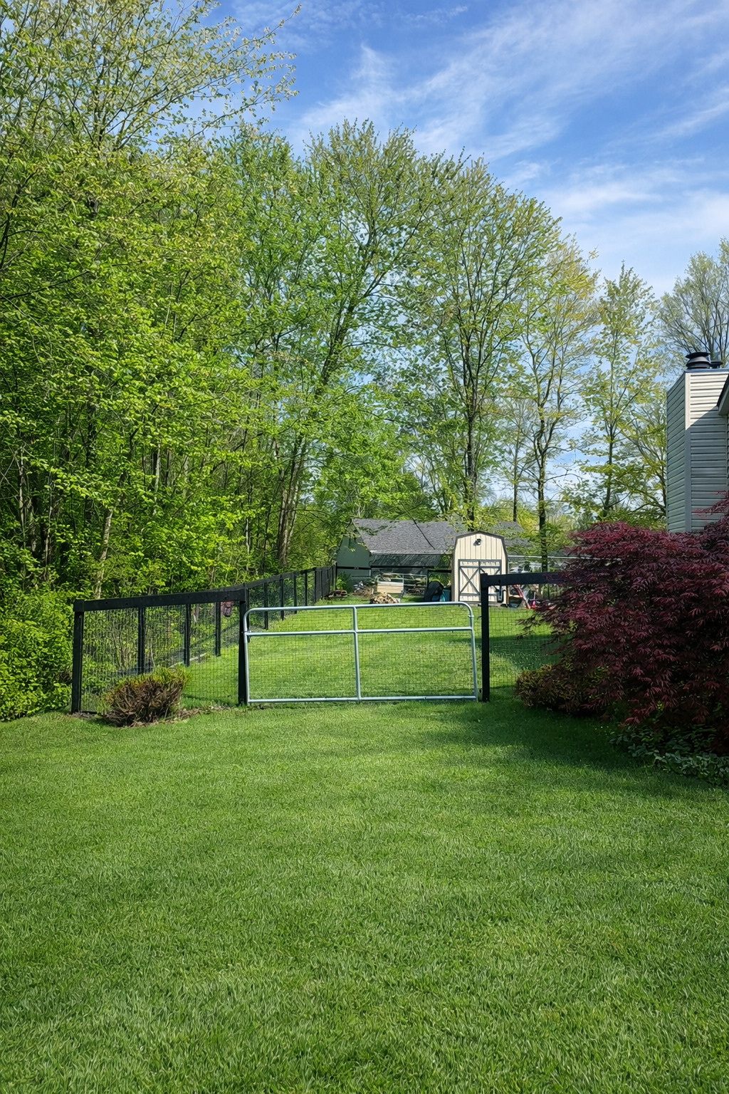 Black Wire Yard Enclosure, completed project photo 1