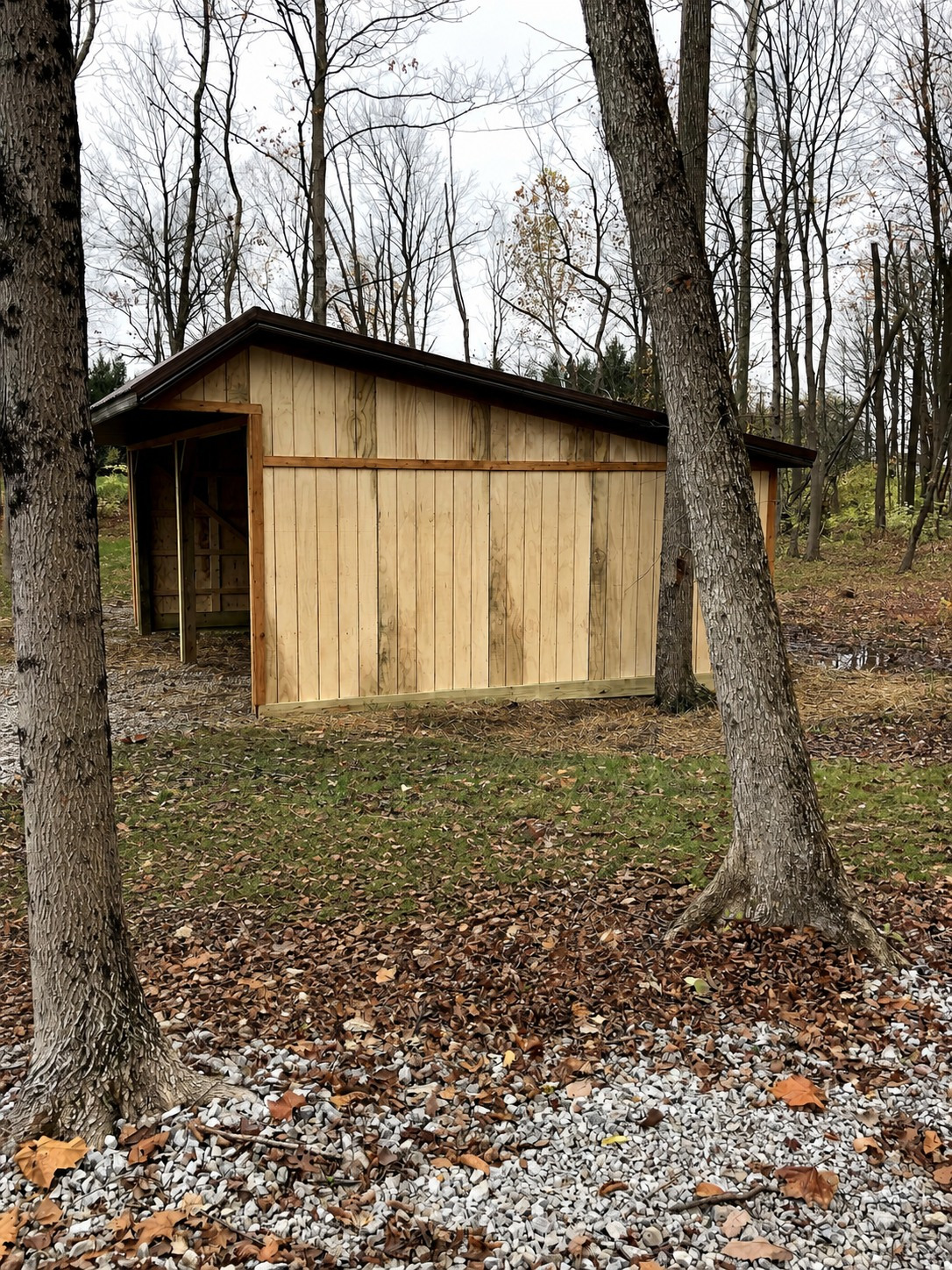 Custom-Built Animal Shelter, completed project photo 2